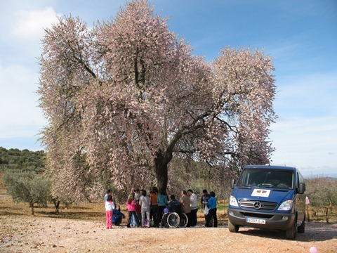 En la imagen, los participantes de la excursión bajo el Almendro Real, cerca de Valverde de Leganés.